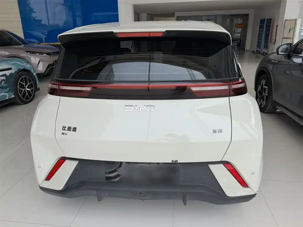 BYD Seagull 2024 Glory Edition 305km Vitality Edition фото 6