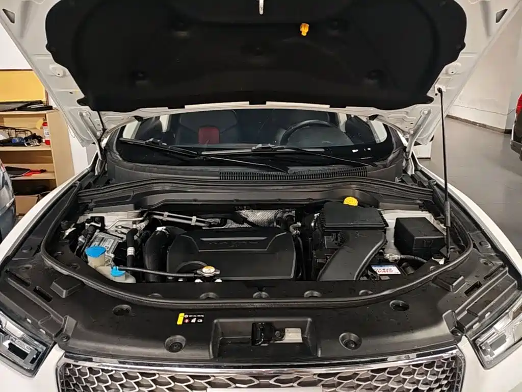 Haval H2s 2018 2018 Red Label 1.5T DCT Elite Model