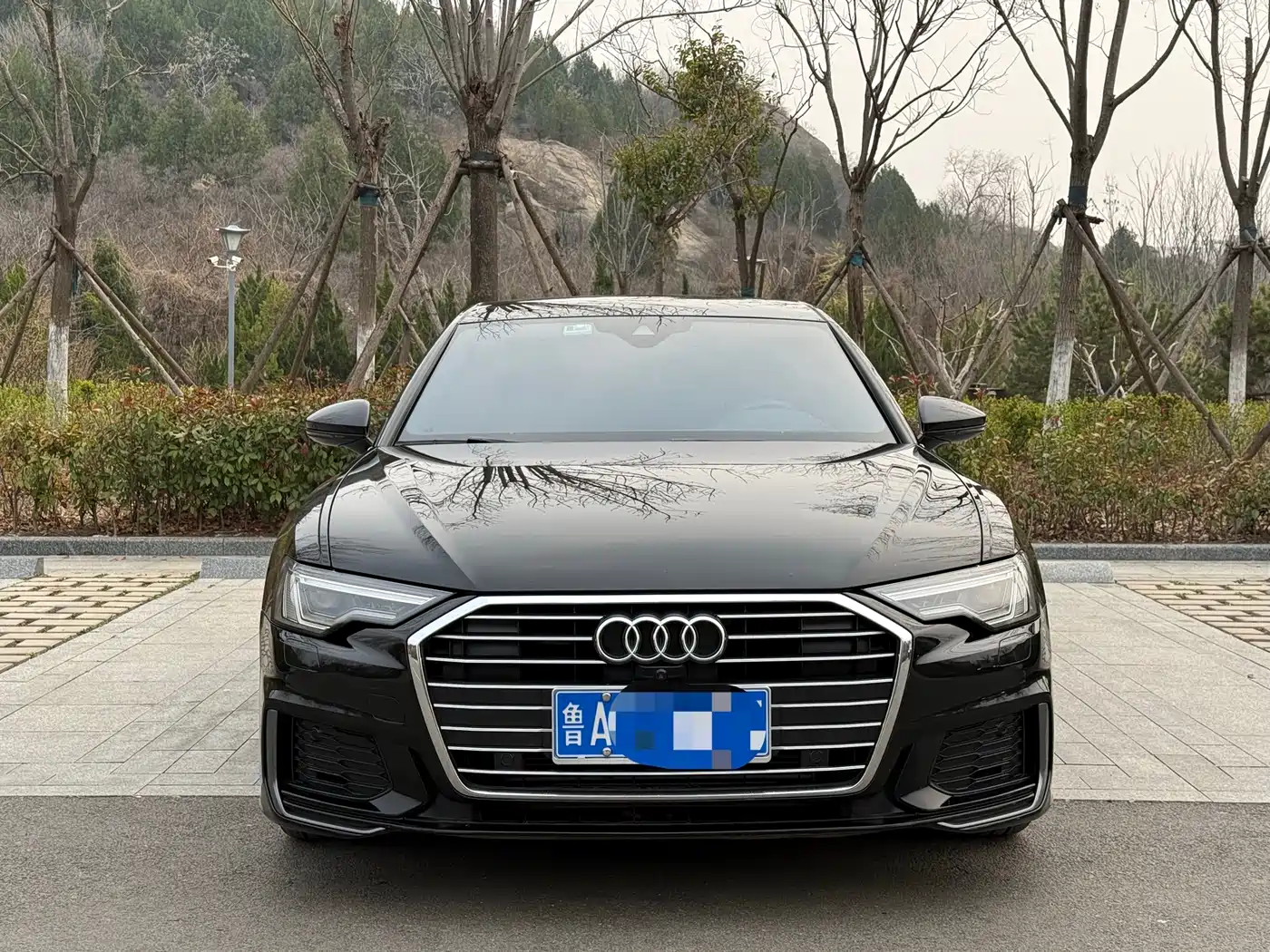 Audi A6L 2021 40 TFSI Luxury Sport фото 14