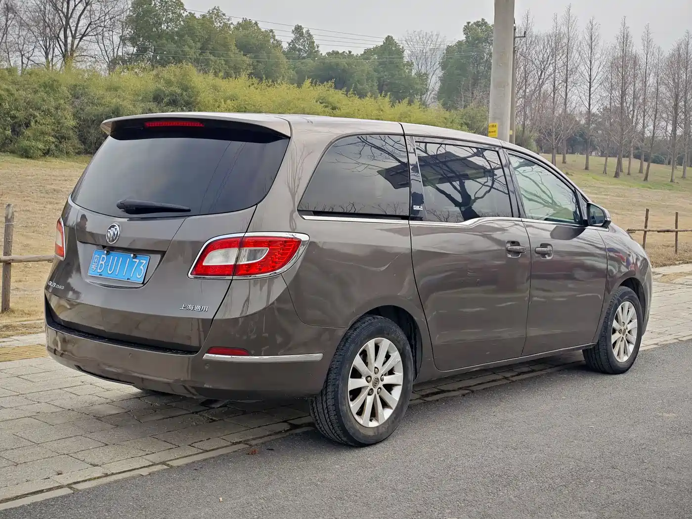 Buick GL8 2013 2.4L CT Luxury Business Comfort Edition фото 17
