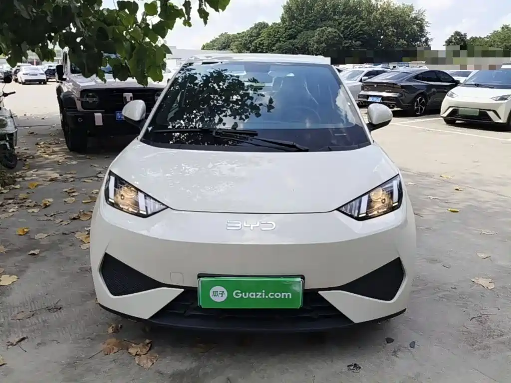 BYD Seagull 2026 2025 Smart Drive Edition 305km Vitality Version