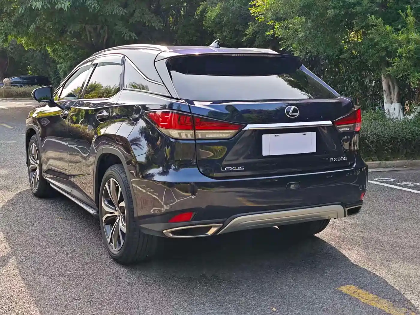 LEXUS RX