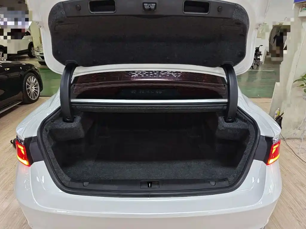 Geely Borui 2021 2021 1.8T Pilot Edition+