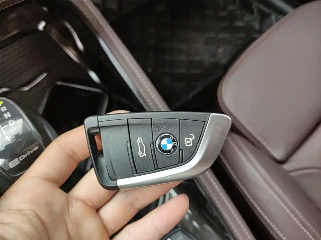 BMW X1 New Energy 2019 xDrive25Le Range Upgrade Edition фото 12