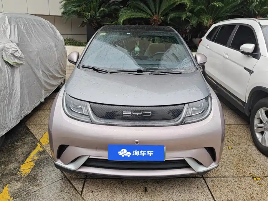 BYD Dolphin 2021 2021 Model 405km Fashion Edition