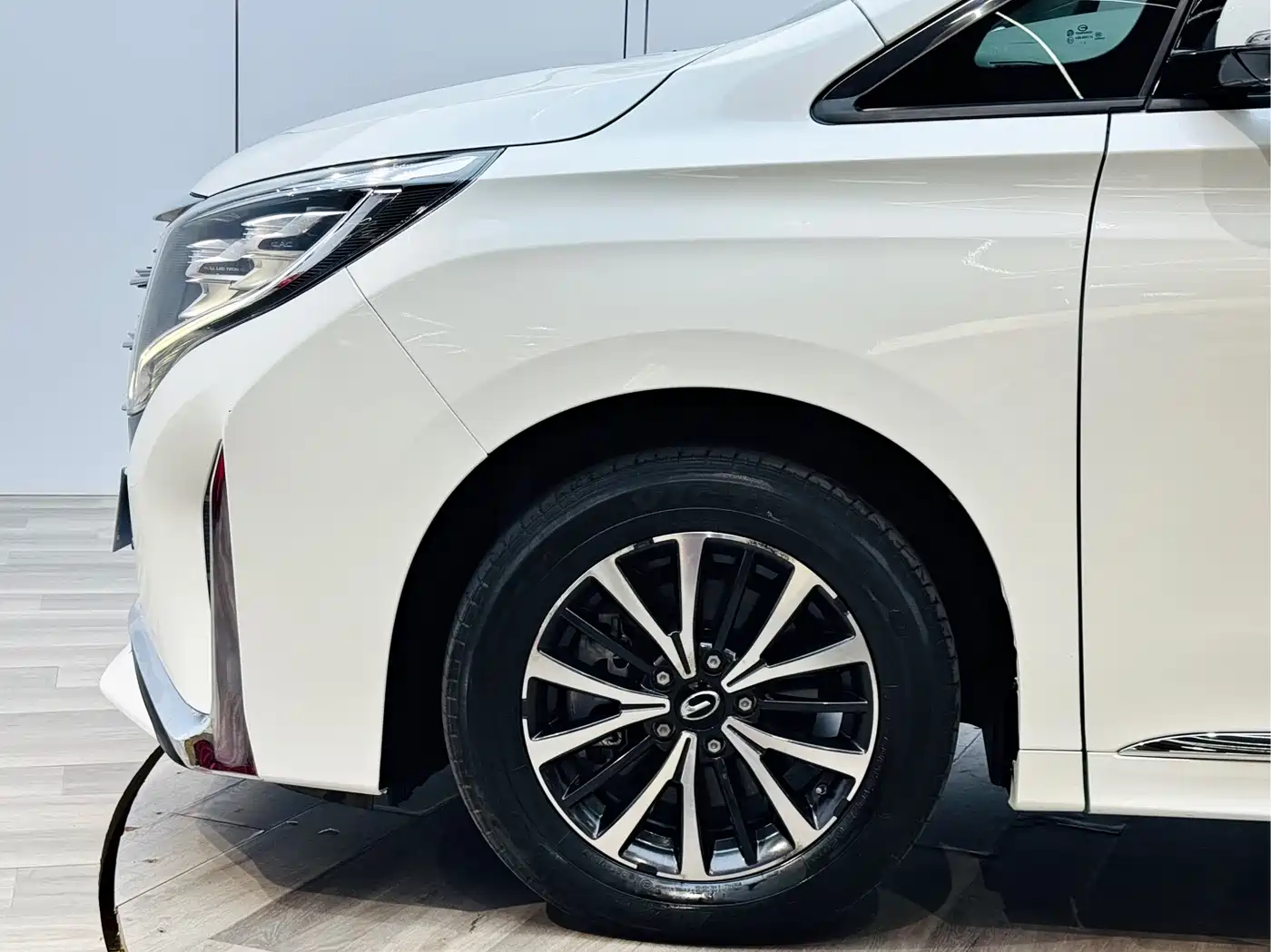 GAC Trumpchi Trumpchi M8 2021 Leading Show Series 390T Premium Edition фото 16