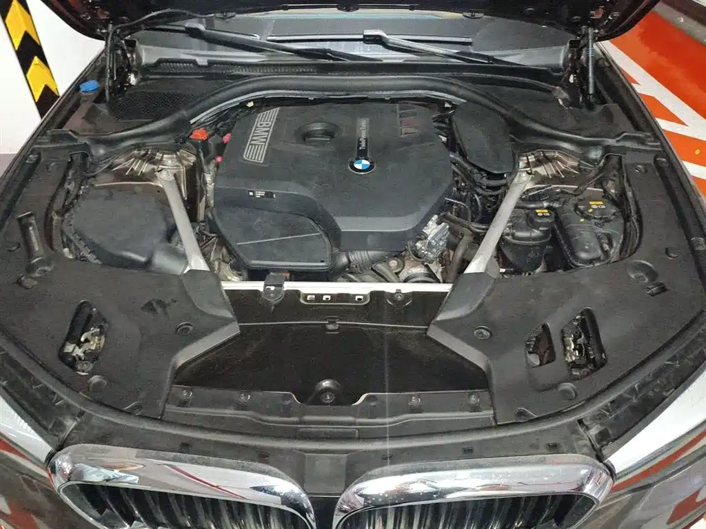 BMW 5 Series 2018 Facelift 530Li Leading M Sport Package фото 17