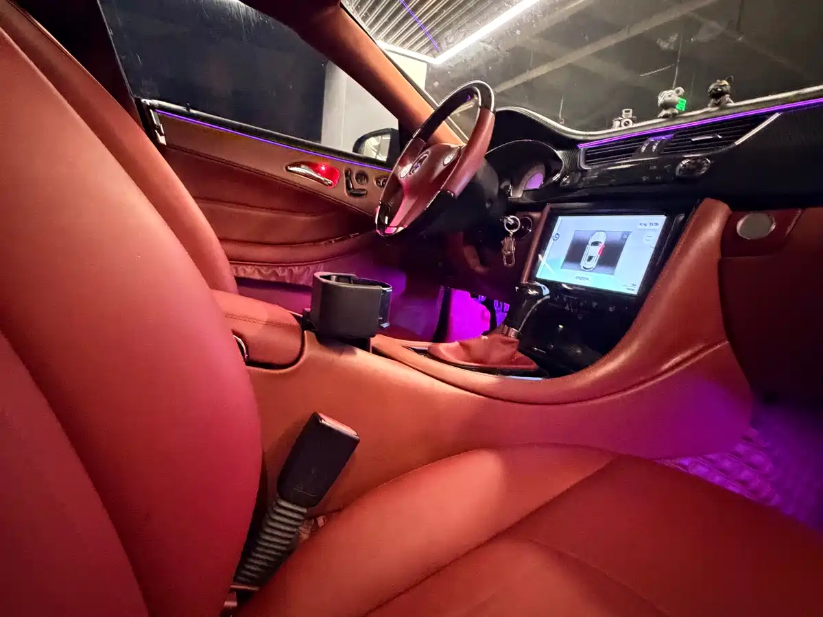 Mercedes-Benz CLS 2009 CLS 300 фото 18