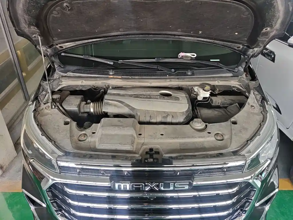 صورة 20 - Maxus G20