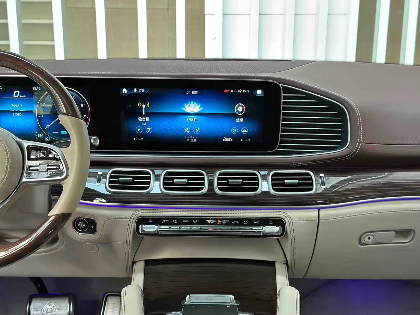 Mercedes-Benz Maybach GLS 2021 GLS 480 4MATIC фото 23