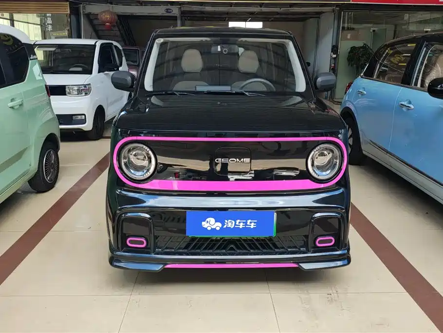 Geely Galaxy Panda 2025 Model Year 210km Panda Kart фото 2
