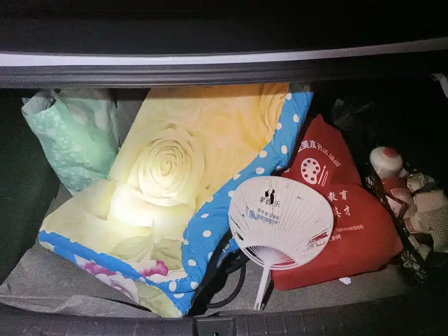 BYD QINHUANGDAO NEW ENERGY