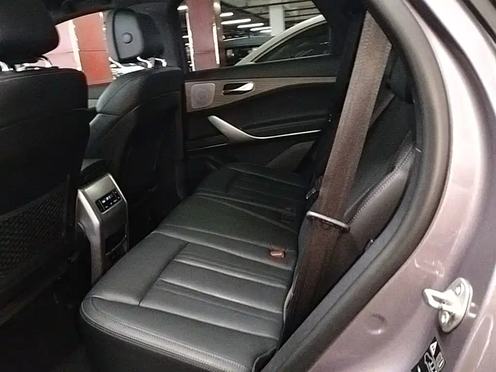 Denza X 2021 2020 Model PHEV Flagship Edition