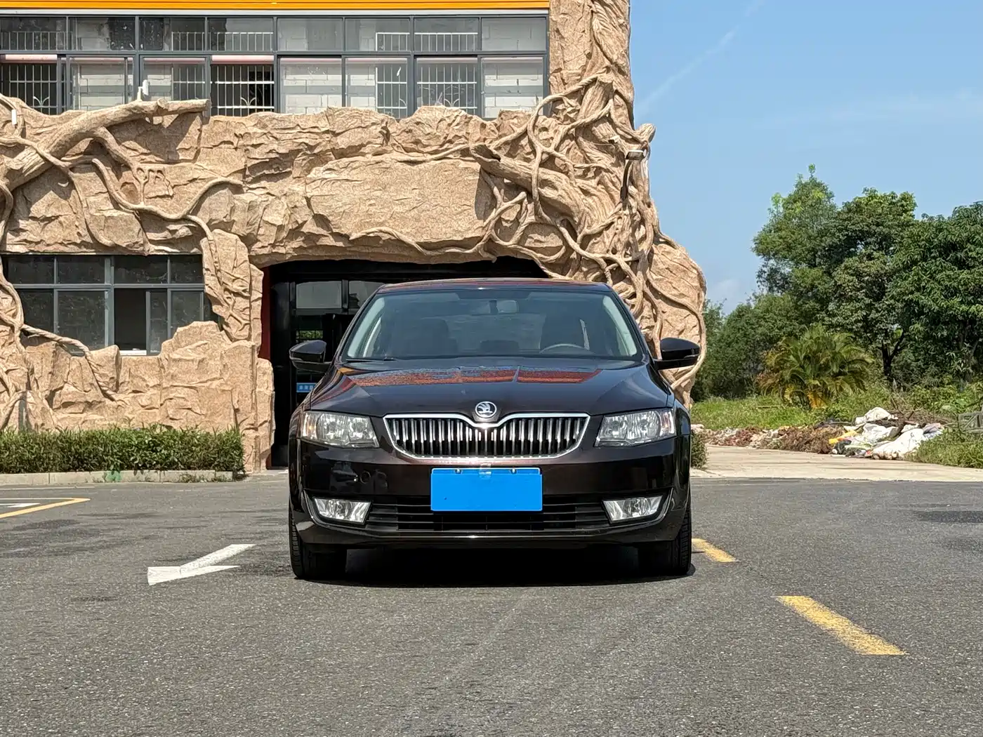 Škoda Octavia 2015 1.6L Automatic逸杰版 фото 2