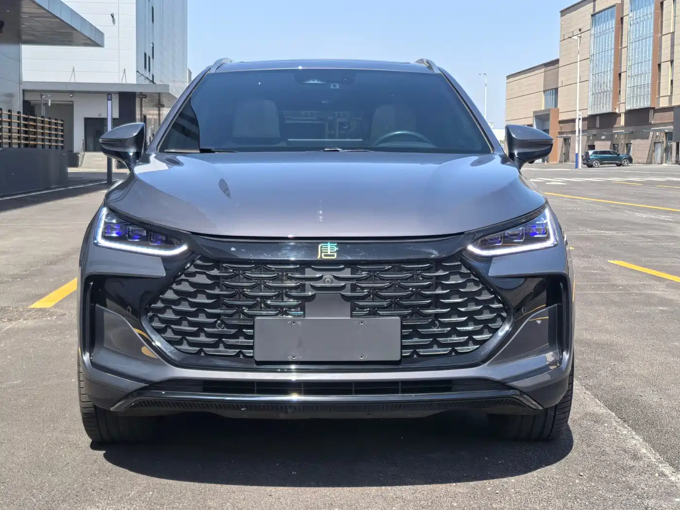 BYD Tang New Energy 2022 DM-p 215KM AWD Flagship фото 2