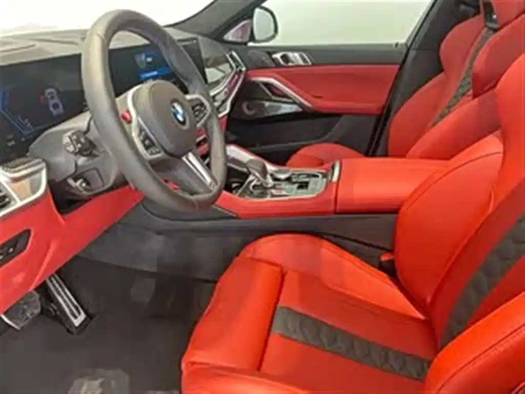 صورة 8 - BMW X6 M