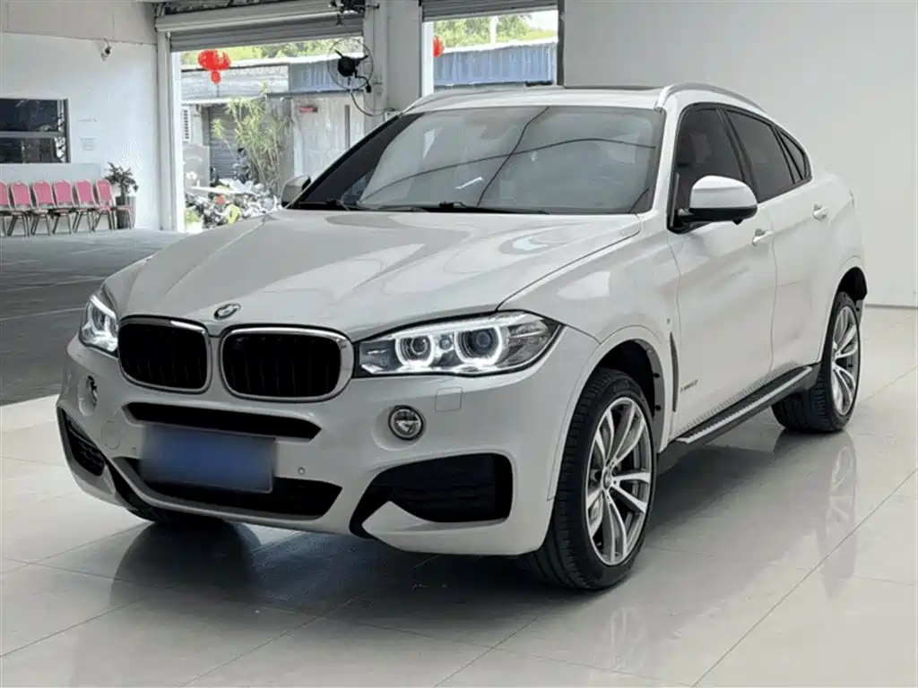 BMW X6 2019 xDrive28i M Sport Package фото 2