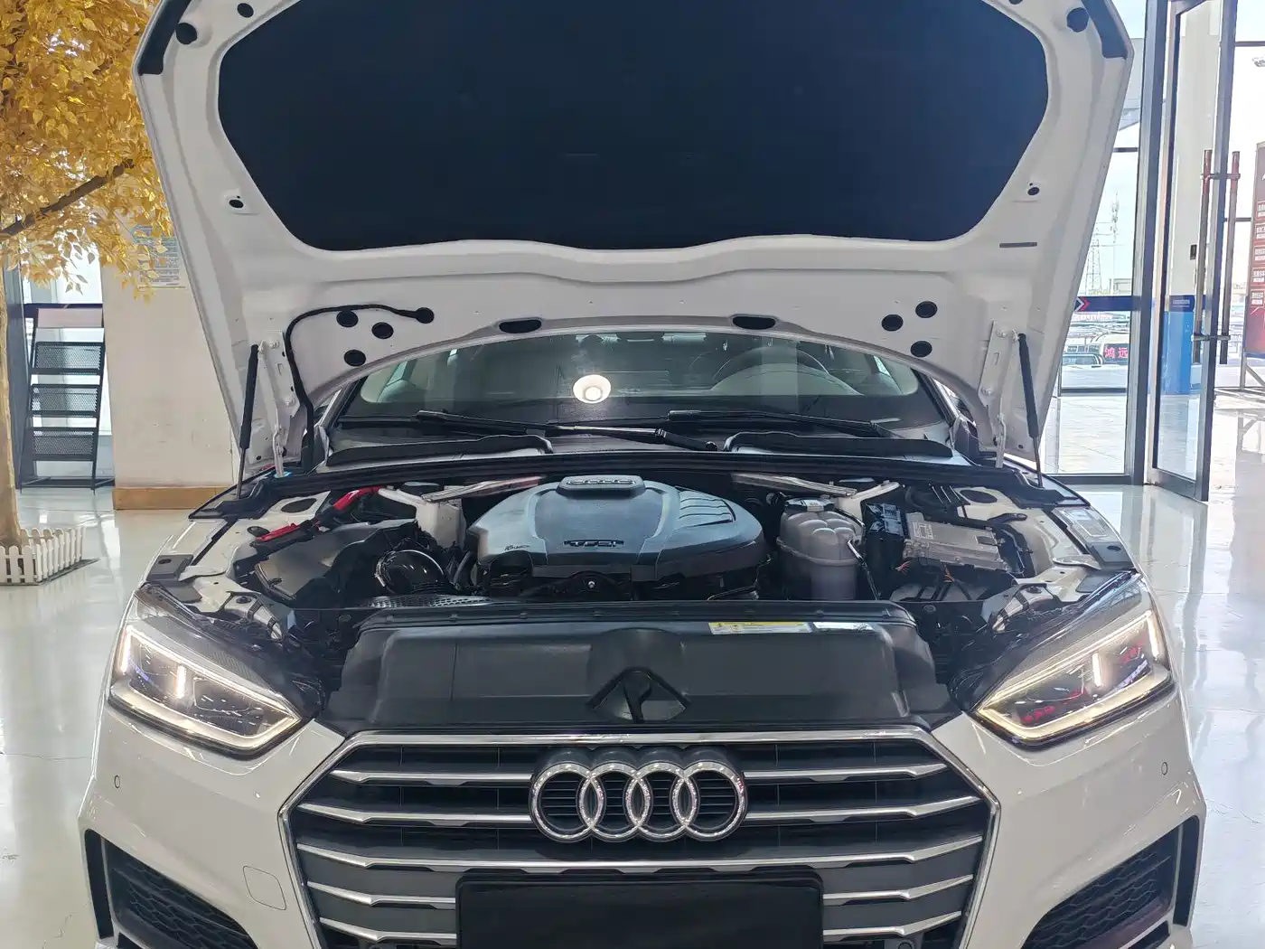 Audi A5 (Import) 2019 Sportback 40 TFSI Fashion фото 17