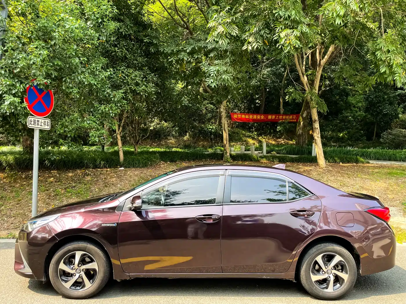 Toyota Levin 2017 Facelift Hybrid 1.8H GS E-CVT Elite Sunroof Edition China V фото 4