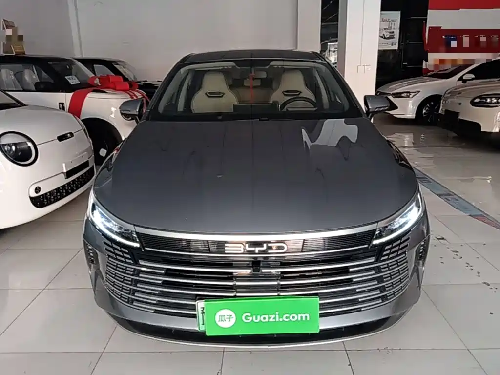 BYD Destroyer 05 2025 2024 Glory Edition DM-i 55KM Luxury