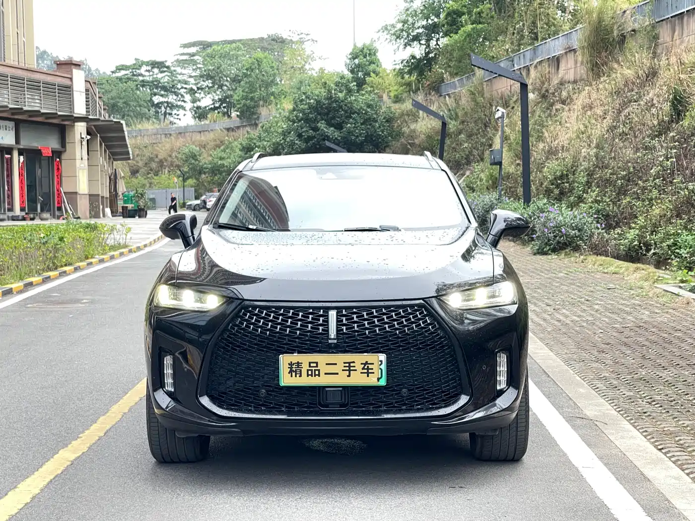 WEI PAI WEI BRAND P8