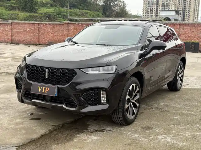 WEI PAI WEI BRAND VV7