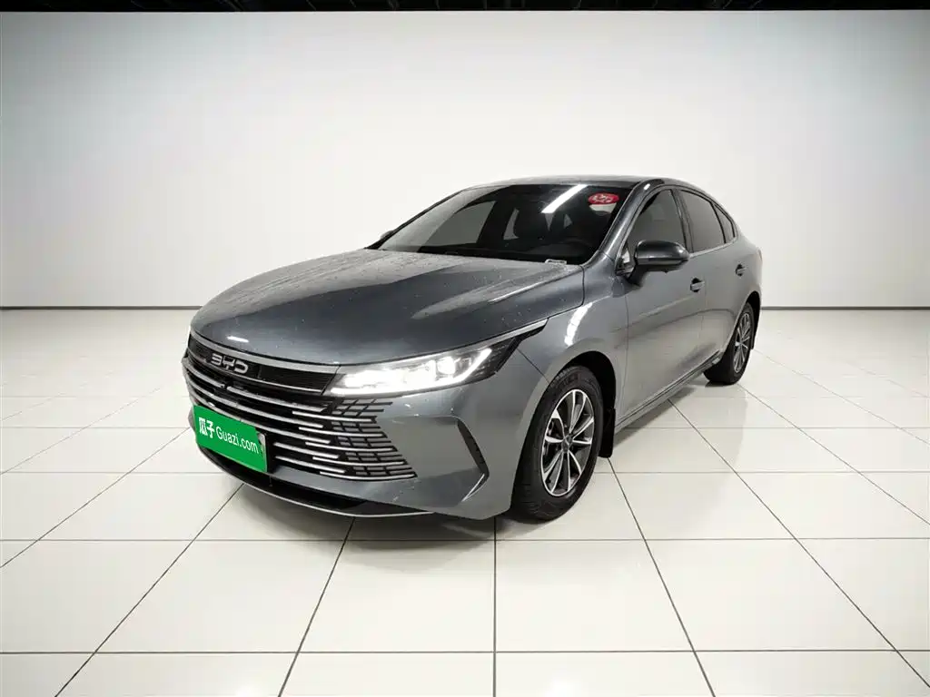 BYD Destroyer 05 2024 Glory Edition DM-i 55KM Luxury фото 2