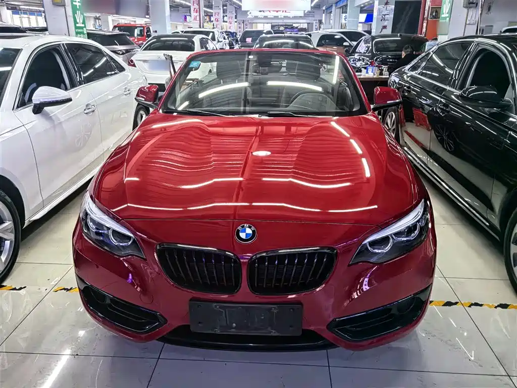 BMW 2 Series (Import) 2019 225i Convertible Coupe Sport Design Package фото 7