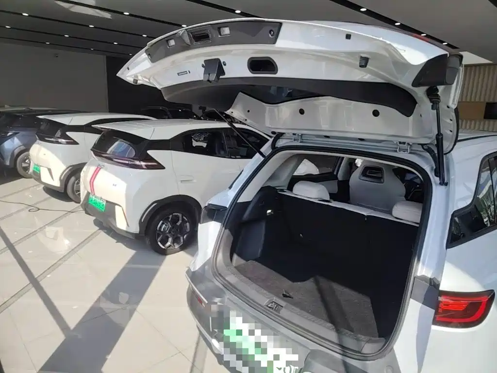 BYD Yuan UP 2024 2024 401KM Leading Edition