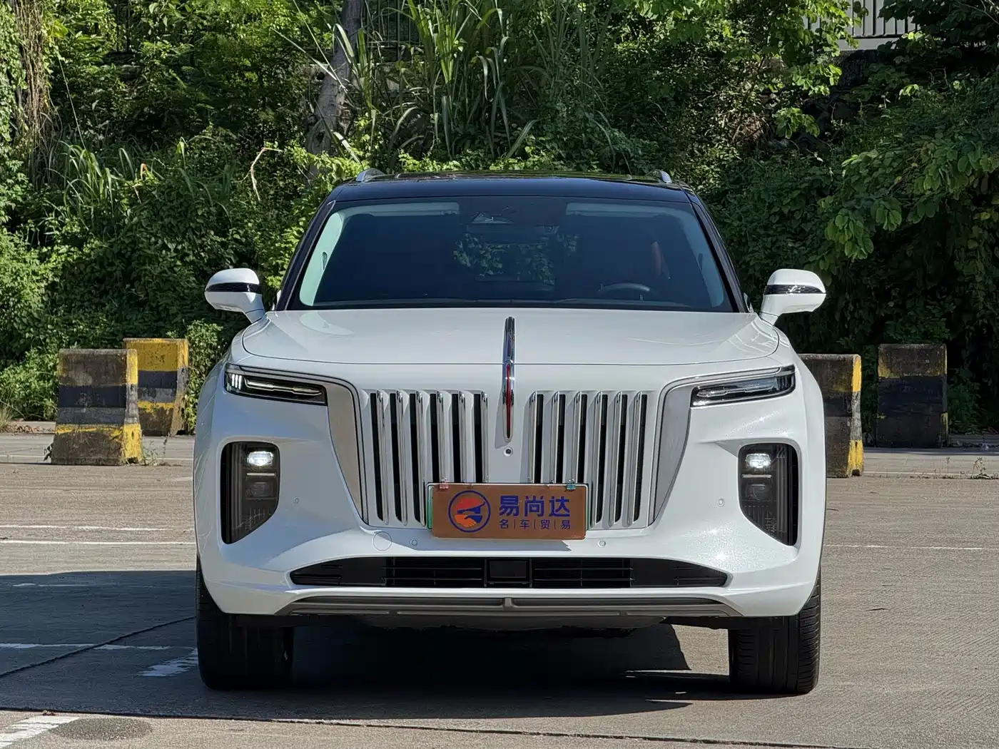 Hongqi E-HS9 2023 2022 660km Qi Chang Edition (6-seater)