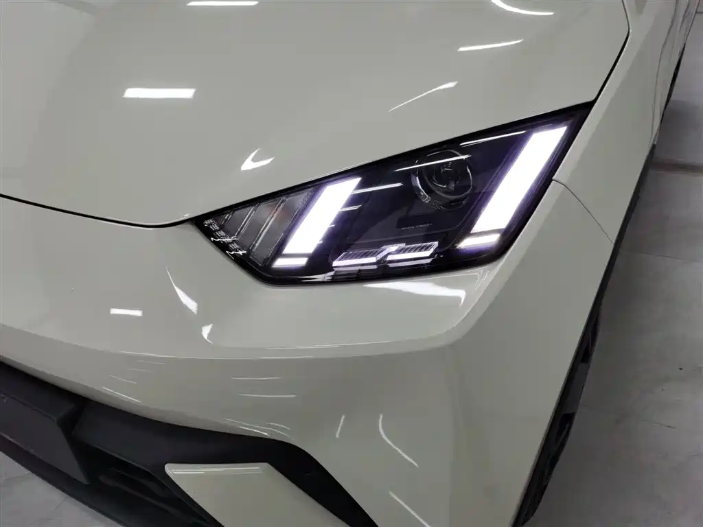 BYD Seagull 2025 305km Vitality фото 18