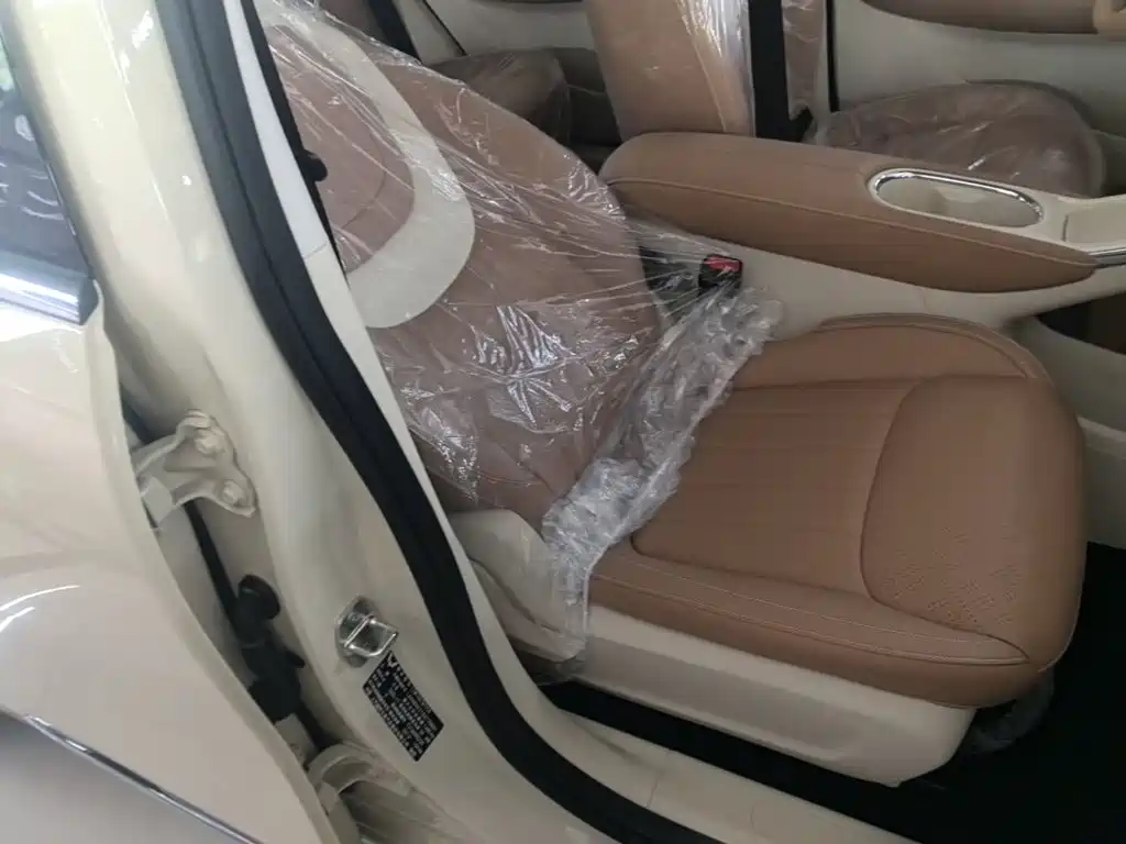 Wuling Motors Wuling Bingo 2026 2025 Model 333km Joy Edition