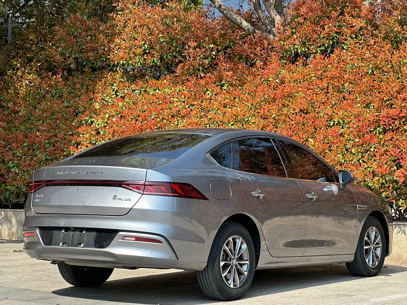 BYD Qin PLUS 2023 Champion Edition DM-i 55KM Leading фото 12