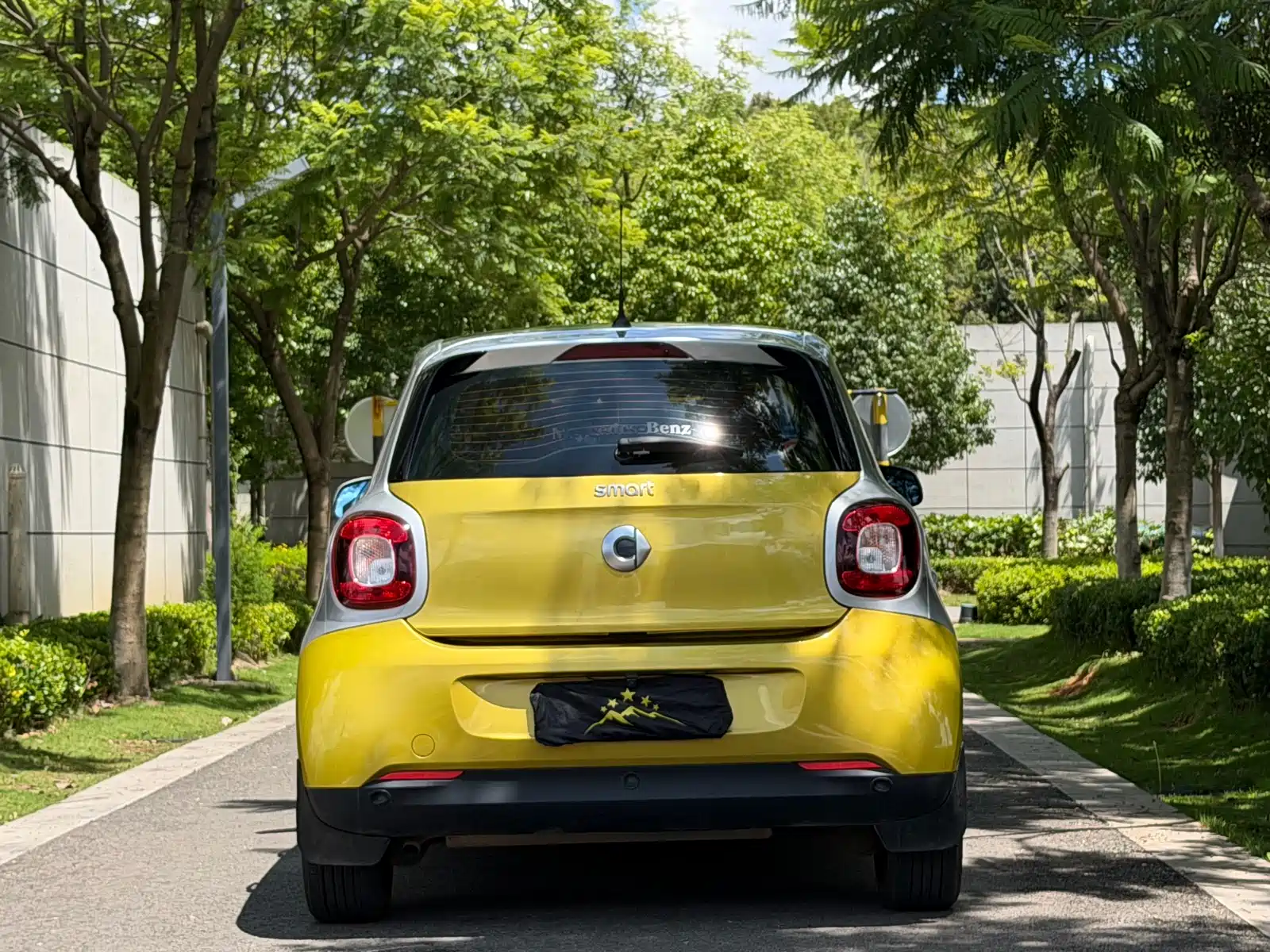 Фото 8 - smart forfour