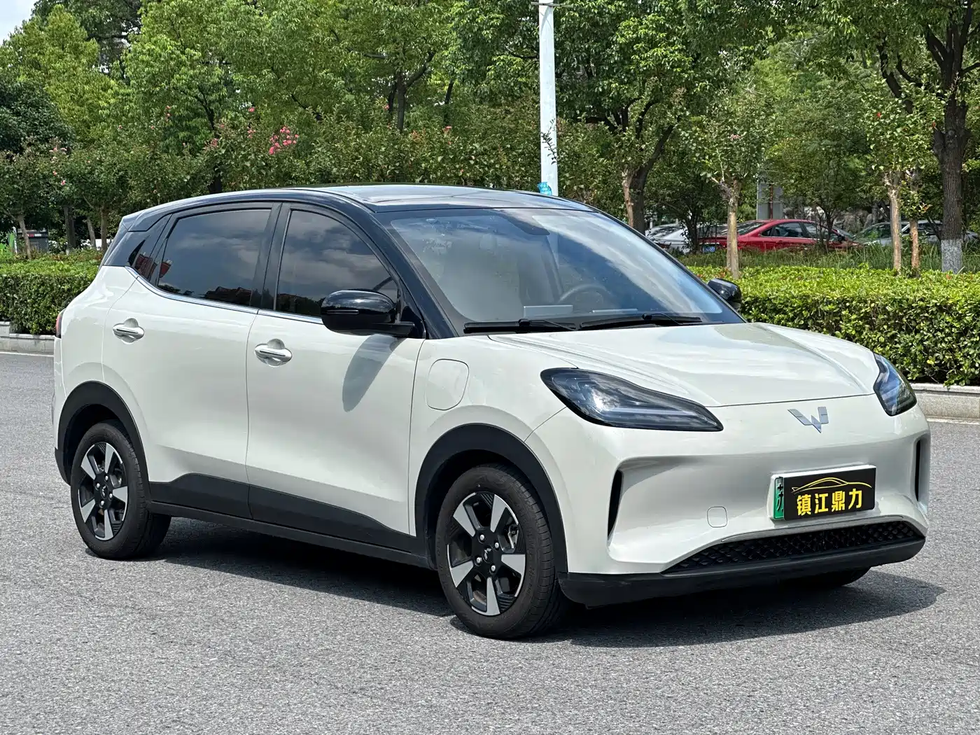 Wuling Motors Wuling Binguo PLUS 2025 2024 510km Range 5-seater
