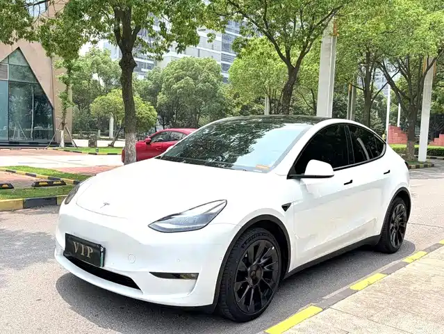 Tesla Model Y Увеличенный запас хода, полный привод