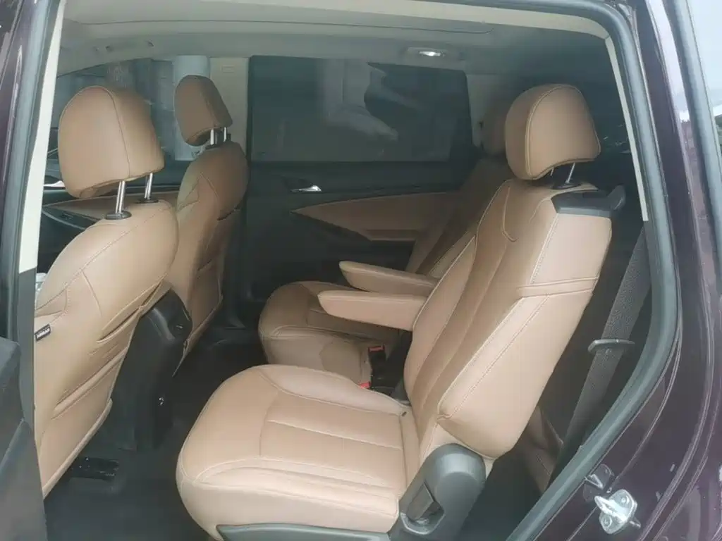 Фото 17 - Buick GL6