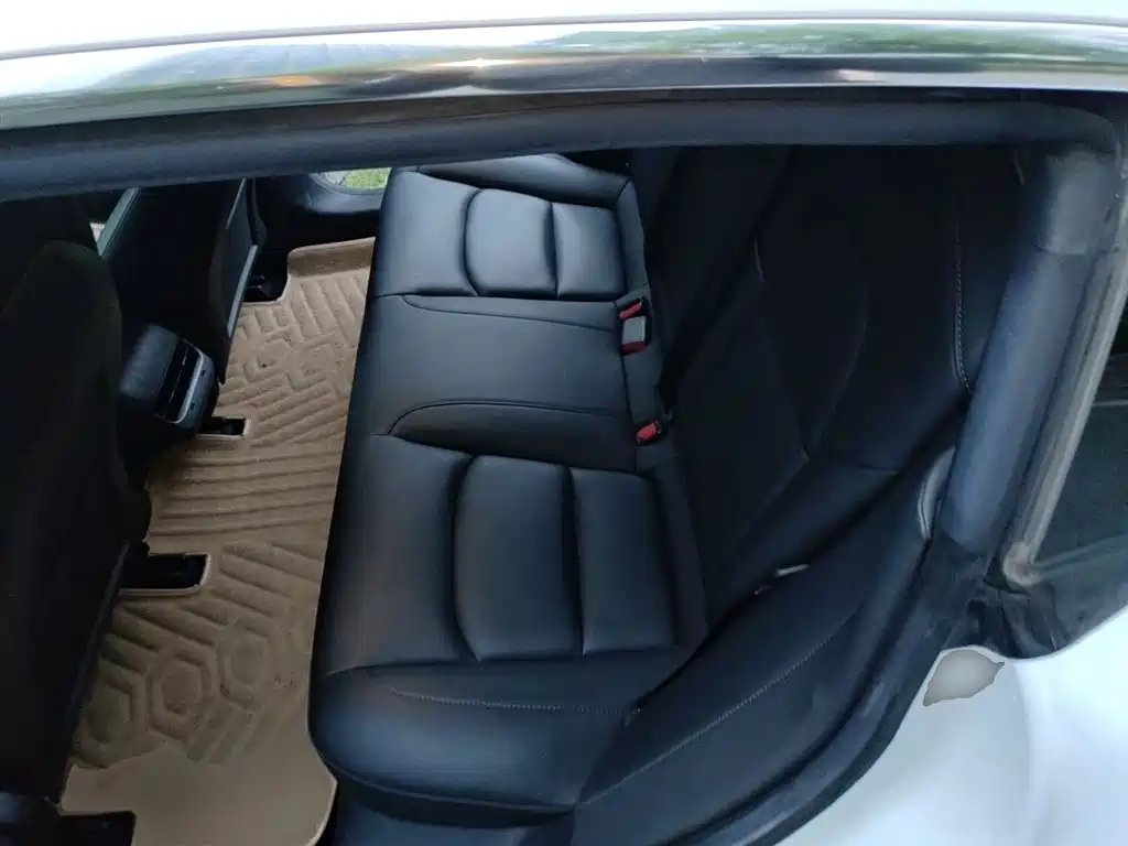 TESLA MODEL 3 (IMPORTED)