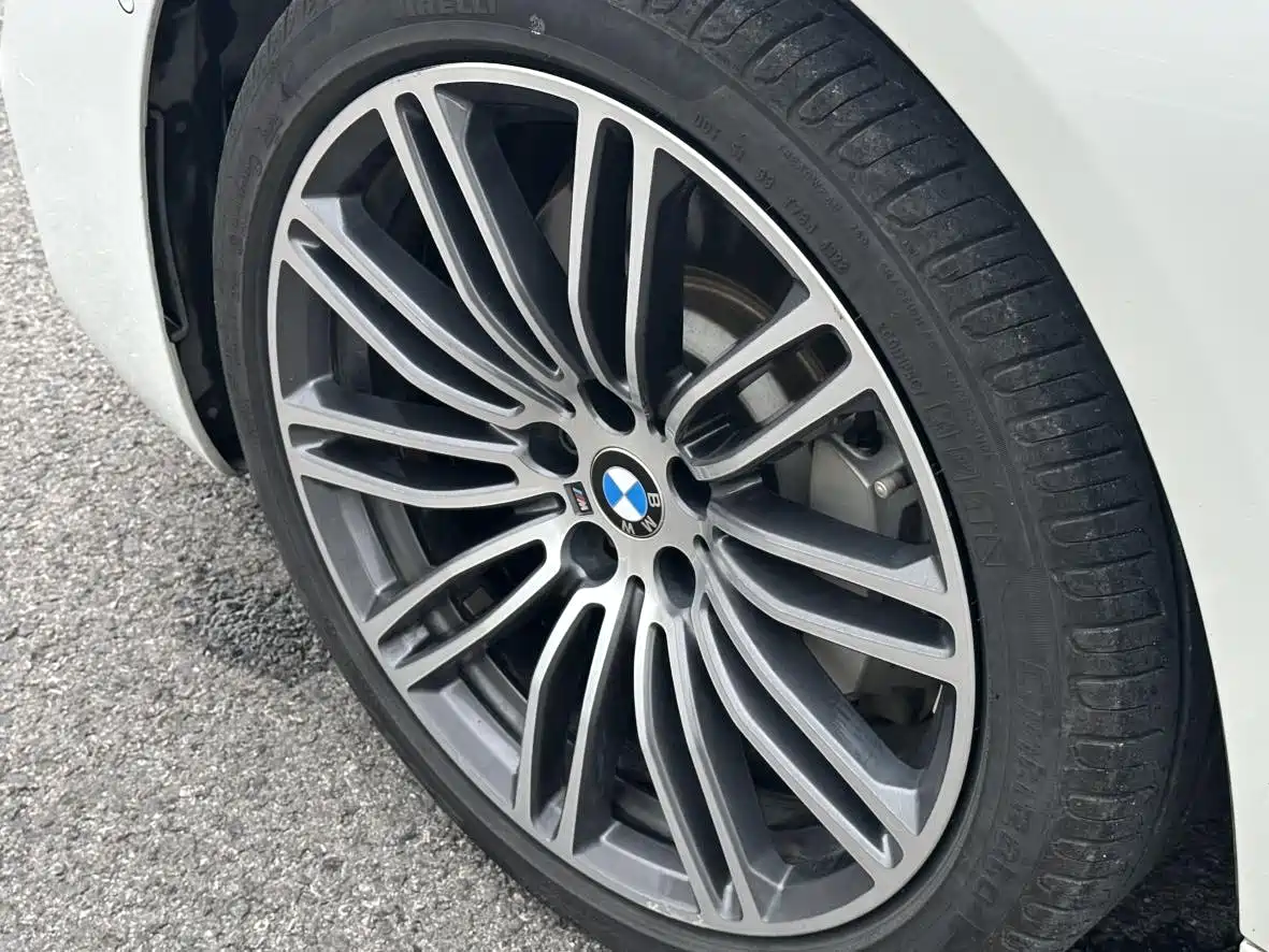 BMW 5 Series 2018 Facelift 530Li Leading M Sport Package фото 15