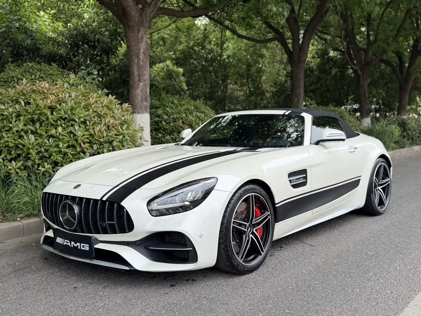 Mercedes-Benz AMG GT 2019 AMG GT C Roadster