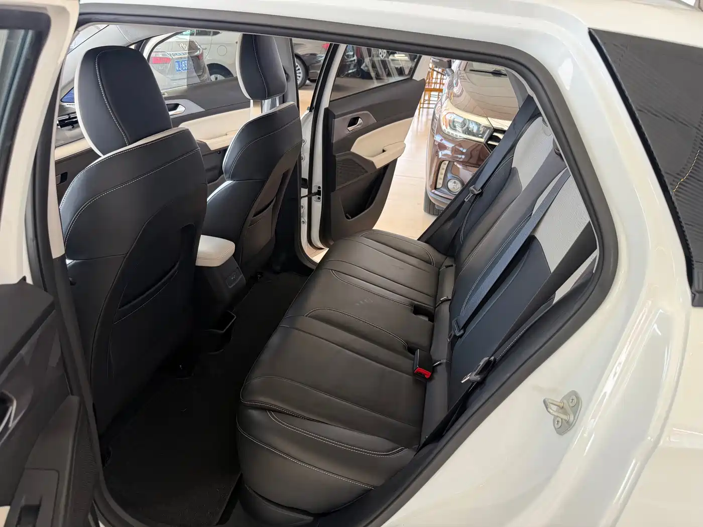 Geely Geometry E Firefly 2024 2024 401km Starlight