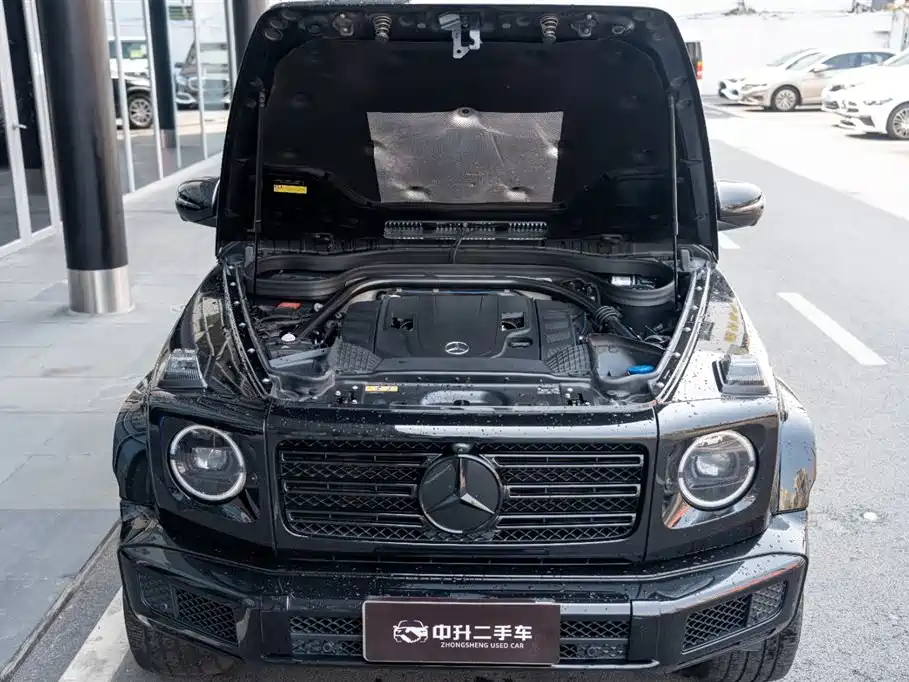 Mercedes-Benz G-Class 2020 G 500 Dark Night Special Edition фото 15