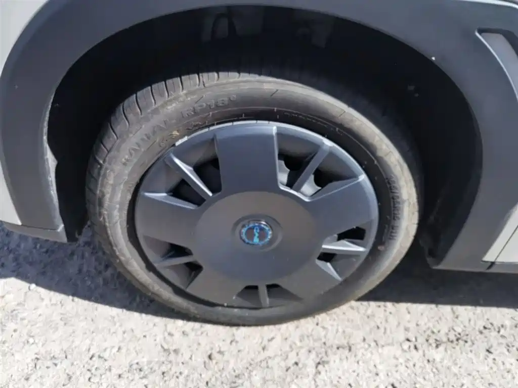 BYD Seagull 2025 Smart Drive Edition 305km Vitality Version фото 23