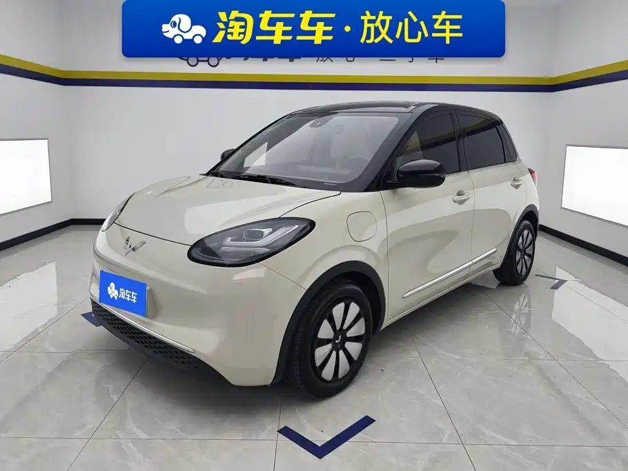 Wuling Motors Wuling Bingo 2023 Model 333km Joy+ Version