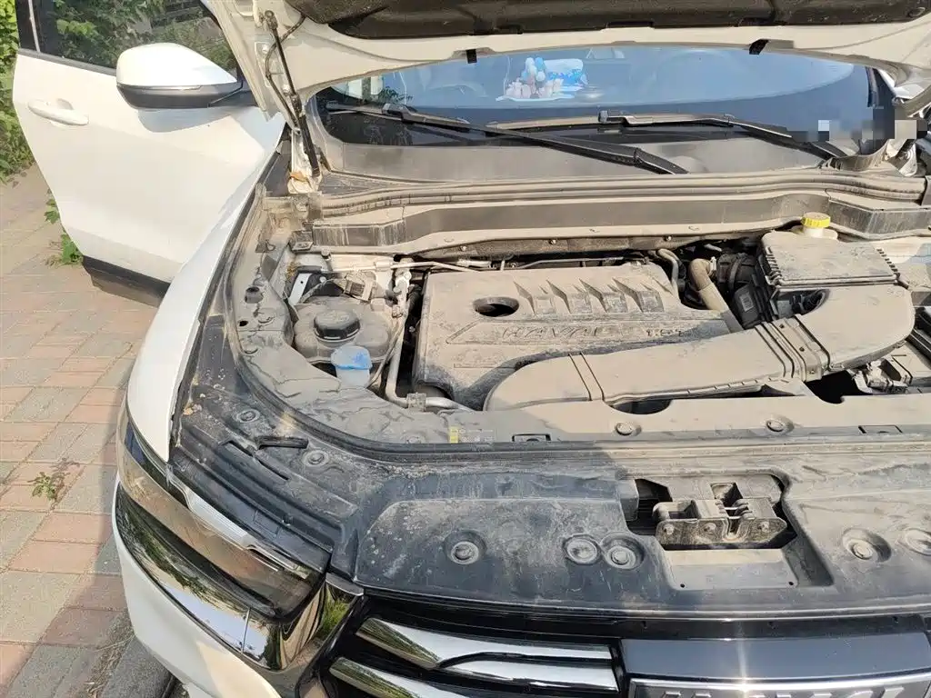 Haval H6 2021 National Trend Edition 1.5T Automatic Urban Edition фото 20