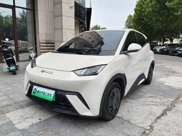 BYD Seagull Энергия