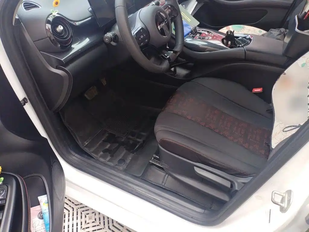 Photo 13 - BYD e2
