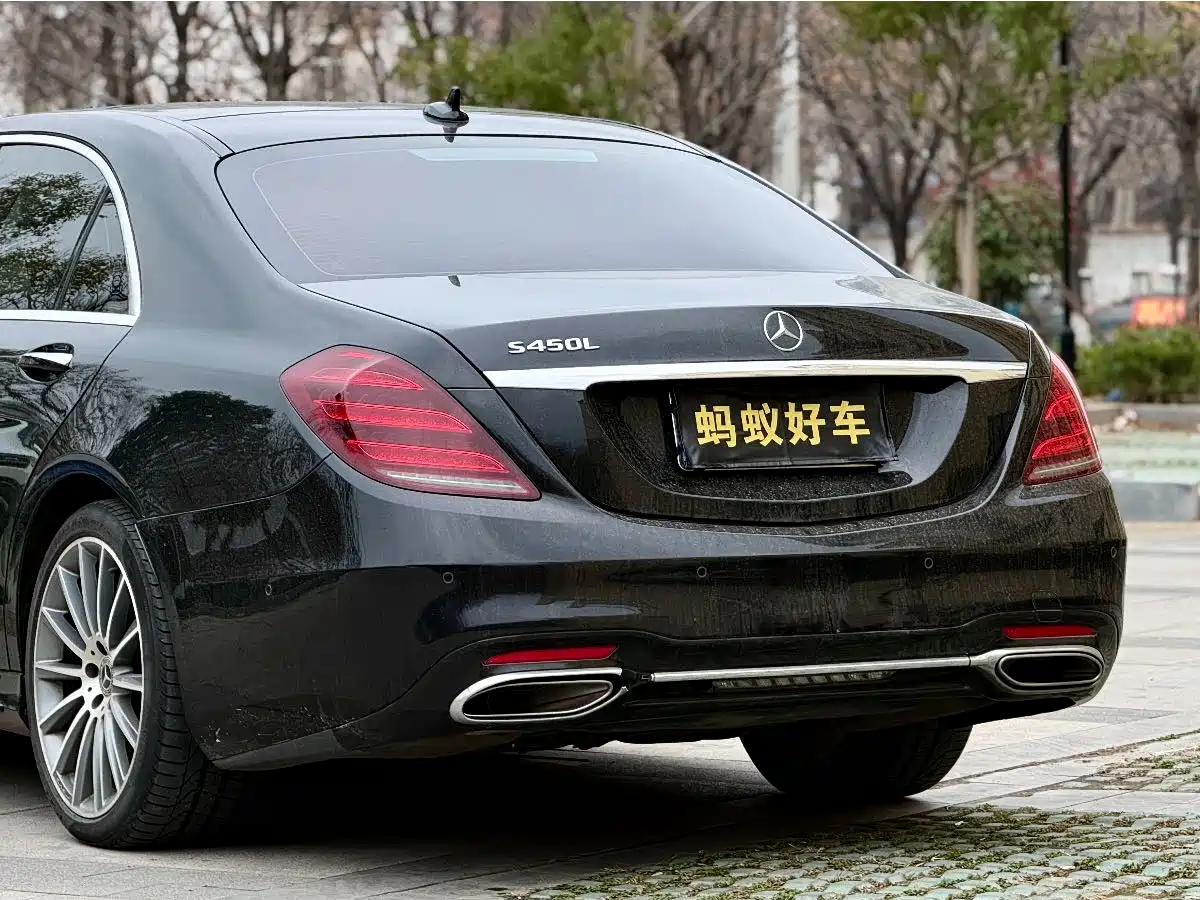 Mercedes-Benz S-Class 2018 S 450 L 4MATIC Excellence Special Edition фото 7