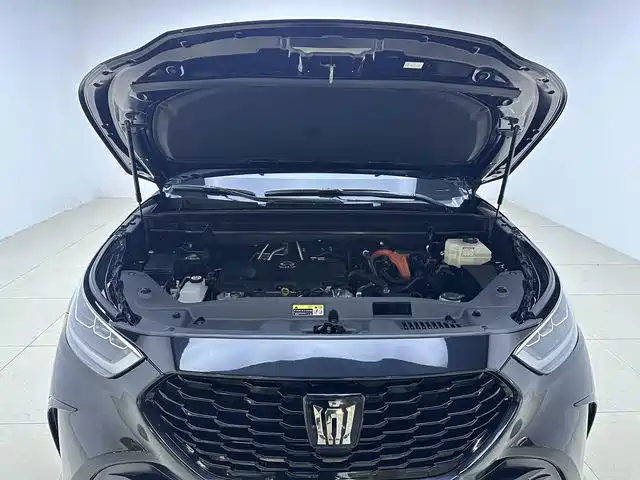 Toyota Crown Kluger 2024 2024 2.5L HEV 4WD Luxury Edition