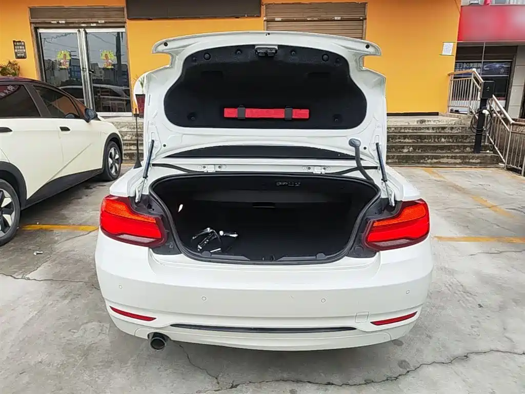 BMW 2 Series (Import) 2018 220i Convertible Coupe Sport Design Package фото 19